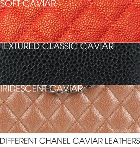 chanel calf skin|caviar leather vs calfskin.